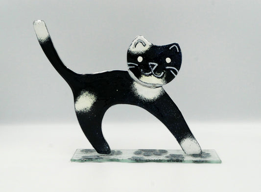 Buckelkatze zum Stellen in schwarz/ weiß gefleckt