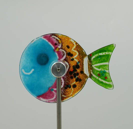 Fisch zum Spießen mit blauen Kopf und bunten Körper