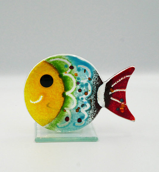 Fisch zum Stellen mit gelben Kopf und bunten Körper