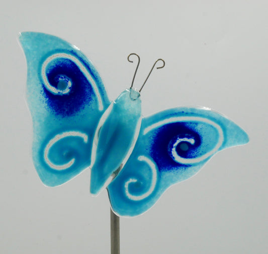 Schmetterling zum Spießen mit blauen Körper und blauen Flügeln
